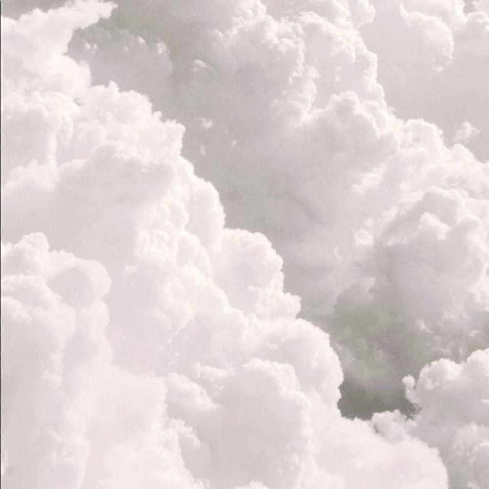 Meet Your Poshner, Lorelai